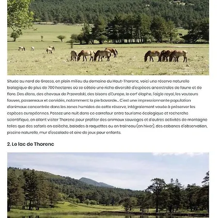 Couette-café Les Merisiers - Thorenc Andon